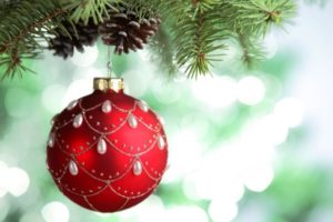 новогодняя елка, как выбрать и установить живую новогоднюю елку